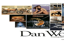 Tablet Screenshot of danwolfe.com